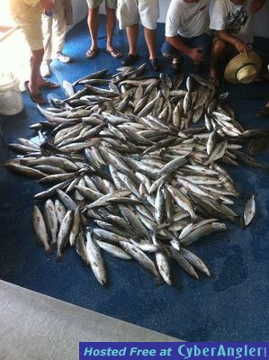 Click to Enlarge Photo