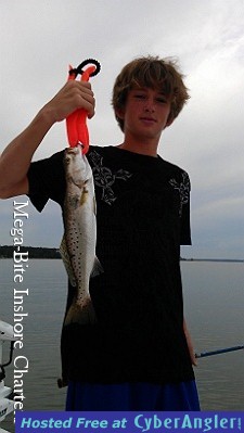 Click to Enlarge Photo