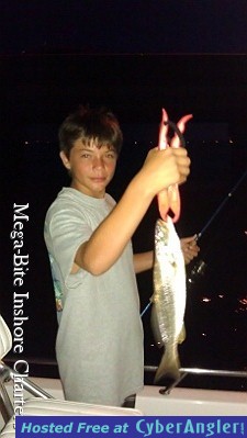 Click to Enlarge Photo