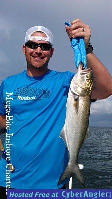 Click to Enlarge Photo