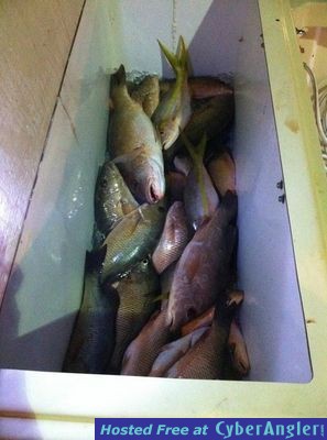 Click to Enlarge Photo