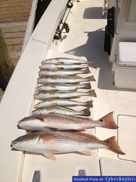 Click to Enlarge Photo