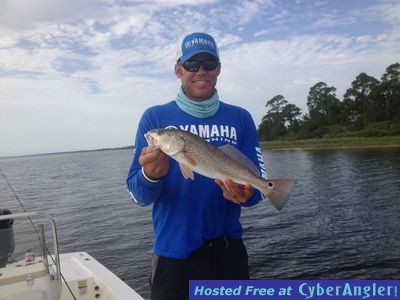 Click to Enlarge Photo