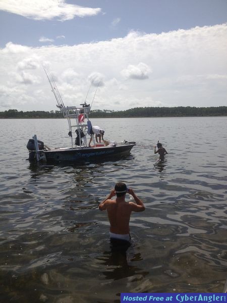 Click to Enlarge Photo