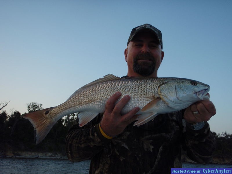 Click to Enlarge Photo