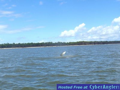 Click to Enlarge Photo