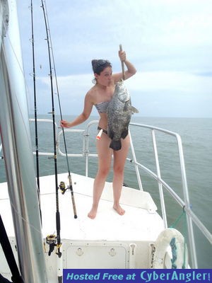 Click to Enlarge Photo