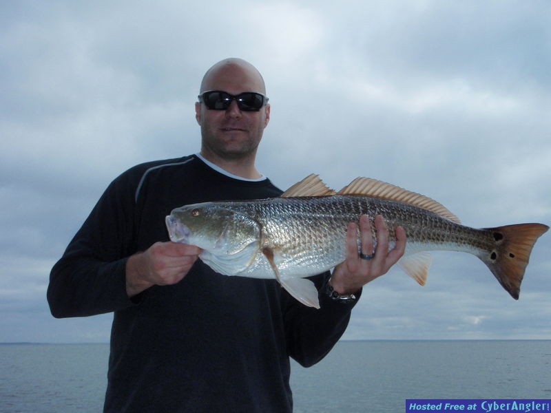 Click to Enlarge Photo