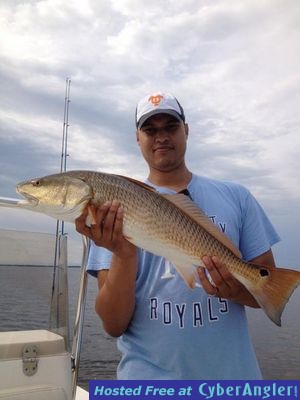 Click to Enlarge Photo