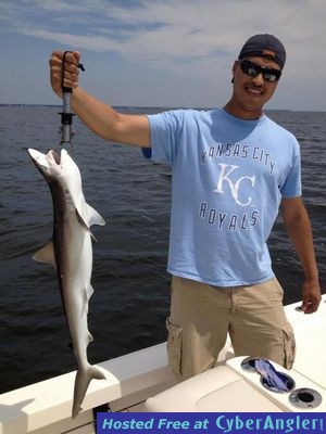 Click to Enlarge Photo