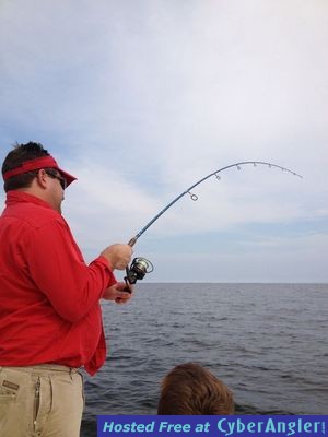 Click to Enlarge Photo