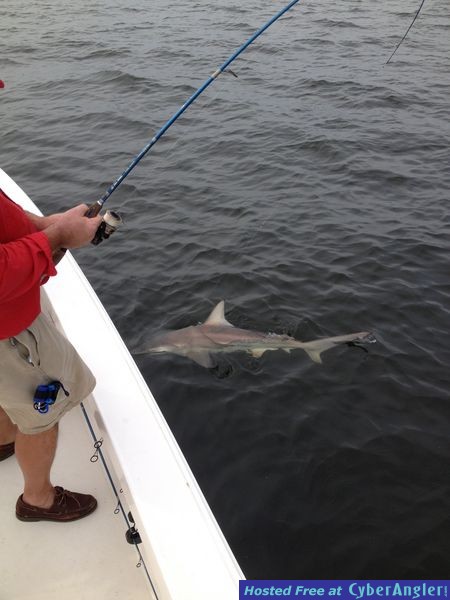 Click to Enlarge Photo