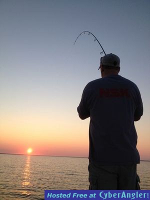 Click to Enlarge Photo