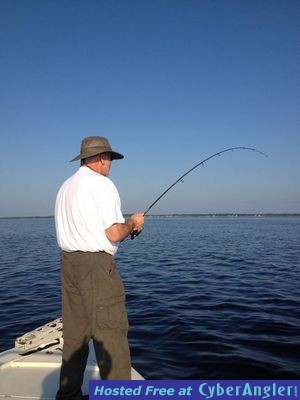 Click to Enlarge Photo