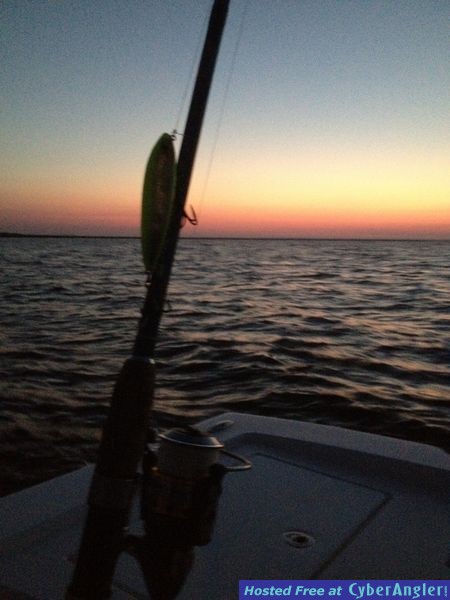 Click to Enlarge Photo