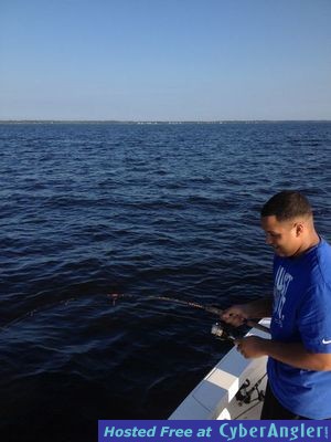 Click to Enlarge Photo