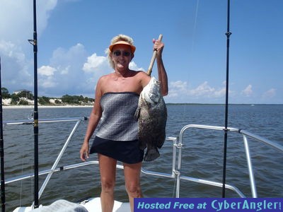 Click to Enlarge Photo