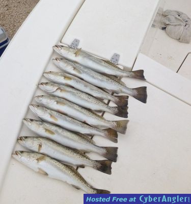 Click to Enlarge Photo