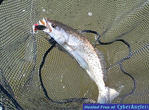 Click to Enlarge Photo