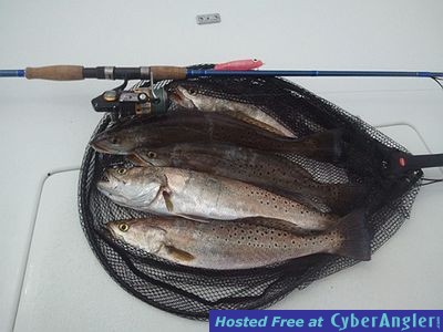 Click to Enlarge Photo