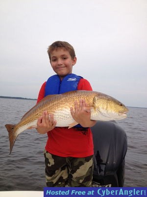 Click to Enlarge Photo