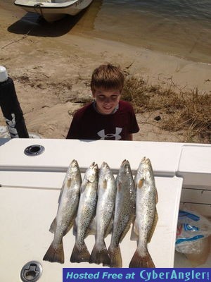 Click to Enlarge Photo