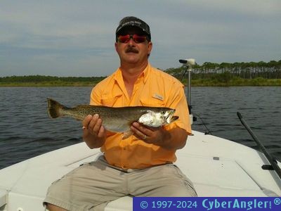 Click to Enlarge Photo