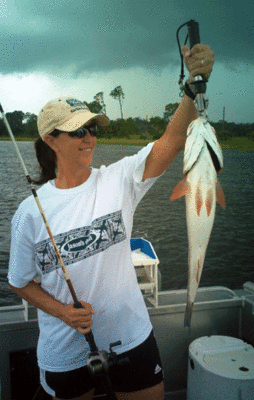 Click to Enlarge Photo