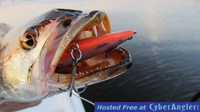 Click to Enlarge Photo