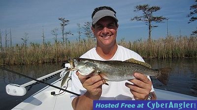 Click to Enlarge Photo