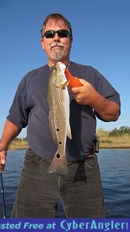 Click to Enlarge Photo