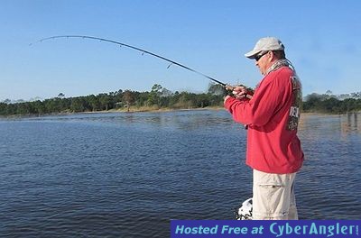 Click to Enlarge Photo