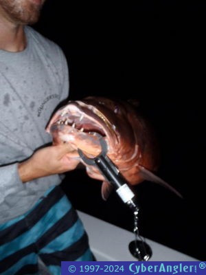 Click to Enlarge Photo