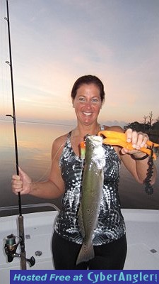 Click to Enlarge Photo