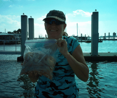 Click to Enlarge Photo