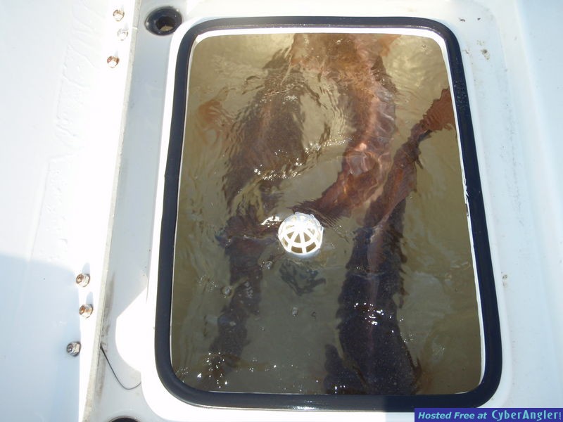 Click to Enlarge Photo