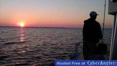 Click to Enlarge Photo