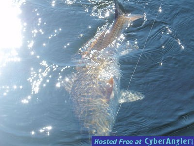 Click to Enlarge Photo