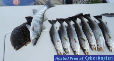 Click to Enlarge Photo