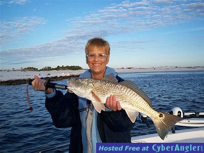 Click to Enlarge Photo