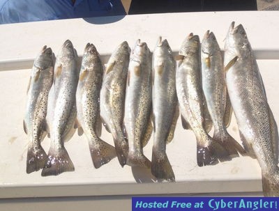 Click to Enlarge Photo