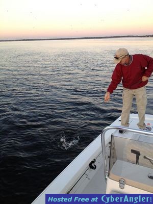 Click to Enlarge Photo