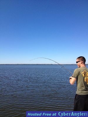 Click to Enlarge Photo