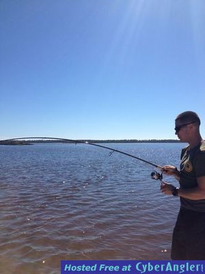 Click to Enlarge Photo