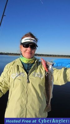 Click to Enlarge Photo