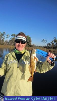 Click to Enlarge Photo