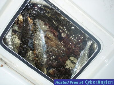 Click to Enlarge Photo