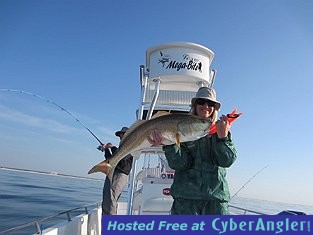 Click to Enlarge Photo