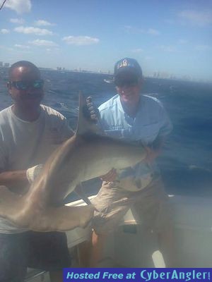 Click to Enlarge Photo