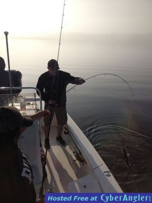 Click to Enlarge Photo